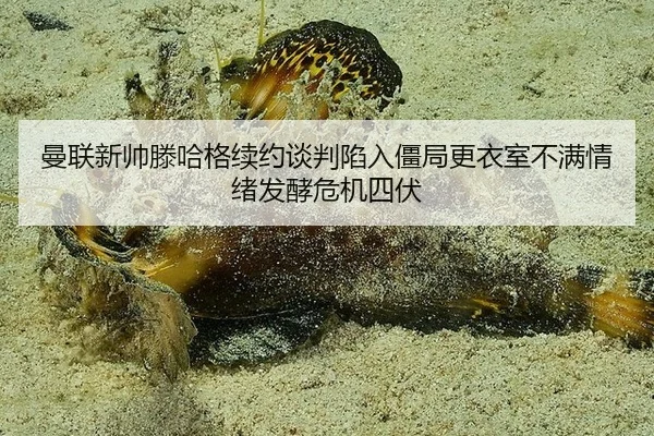 man-lian-xin-shuai-teng-ha-ge-xu-yue-tan-pan-xian-ru-jiang-ju-geng-yi-shi-bu-man-qing-xu-fa-jiao-wei-ji-si-fu-2-631.jpg