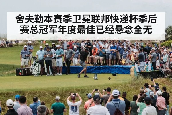 舍夫勒本赛季卫冕联邦快递杯季后赛总冠军年度最佳已经悬念全无